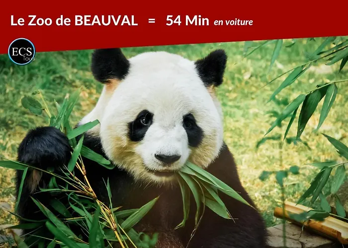 L'appart Vieux - Charme - Place Plumereau - Arrivée Autonome